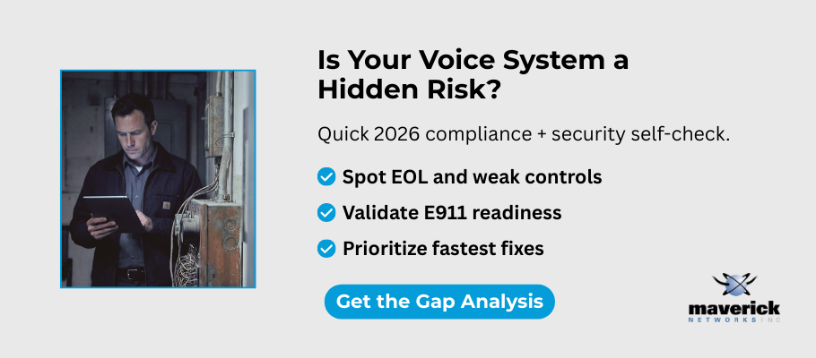 Voice security and gap analysis for public sector agencies